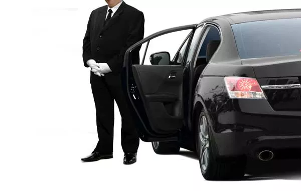 Mise à disposition d'une berline pour un déplacement professionnel, Orly, WAEL DRIVER